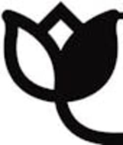 Koas Agency Logo