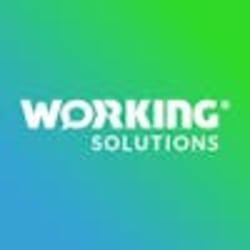 Working Solutions Logo